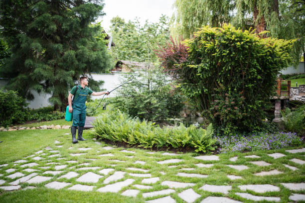Best Best Pest Control Companies  in Perry, LA