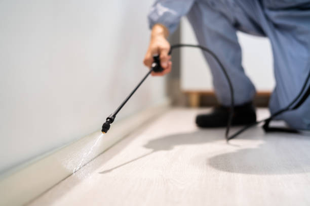 Pest Control for Restaurants in Perry, LA