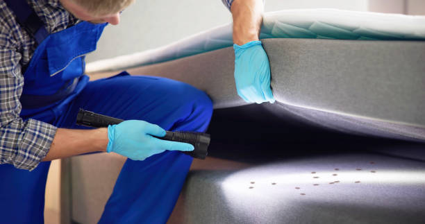 Best Local Pest Control Services  in Perry, LA