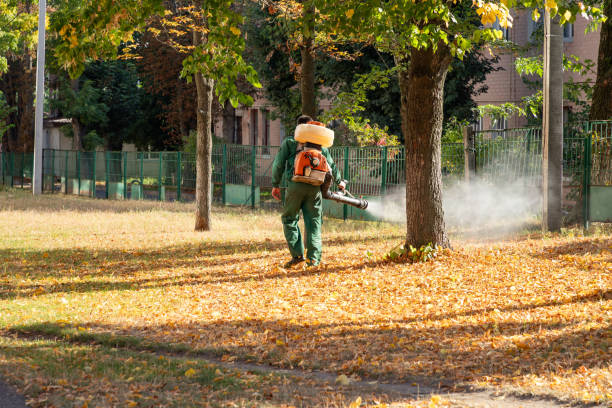 Best Emergency Pest Control  in Perry, LA