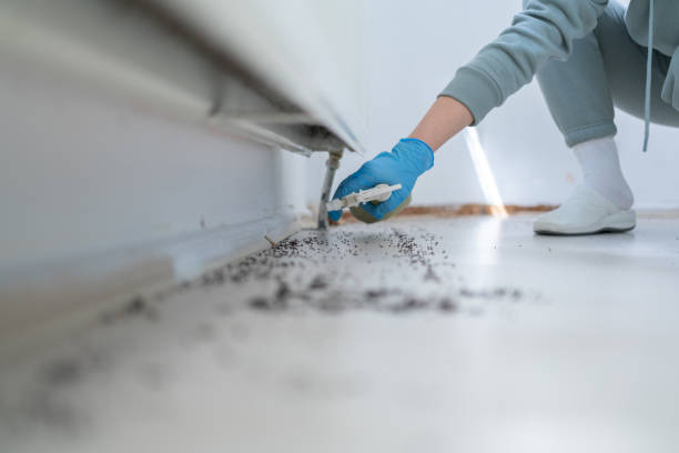 Best Insect Control  in Perry, LA