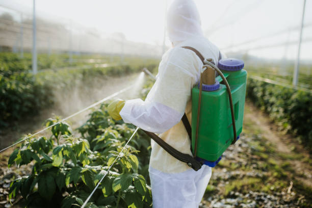 Best Pest Control Near Me in Perry, LA